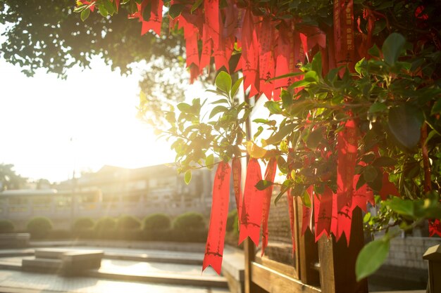 Chunks of red paper hanging from a tree