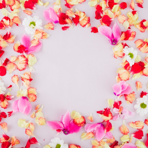 Circle in flower petals