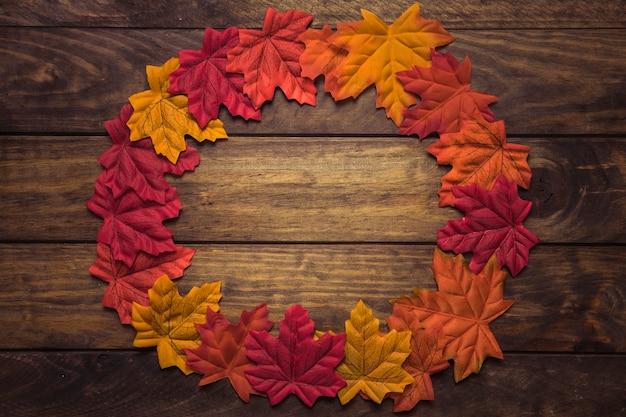 Free photo circle frame of colourful maple leaves