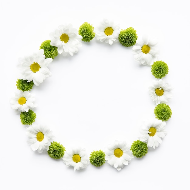 Free photo circle from daisies and succulents