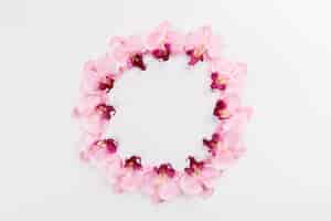 Free photo circle from orchids on white