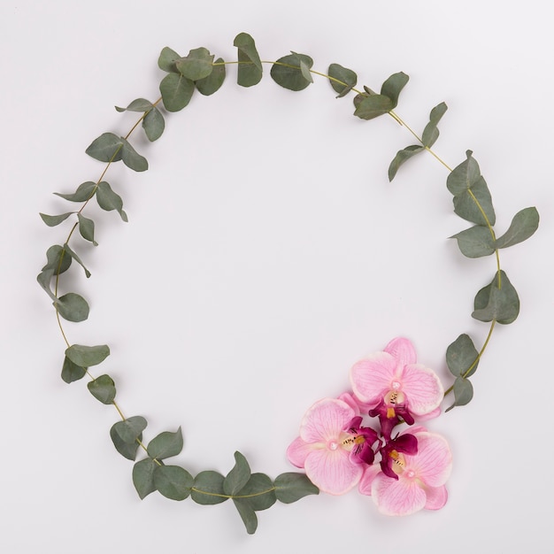 Circle from twigs and orchids