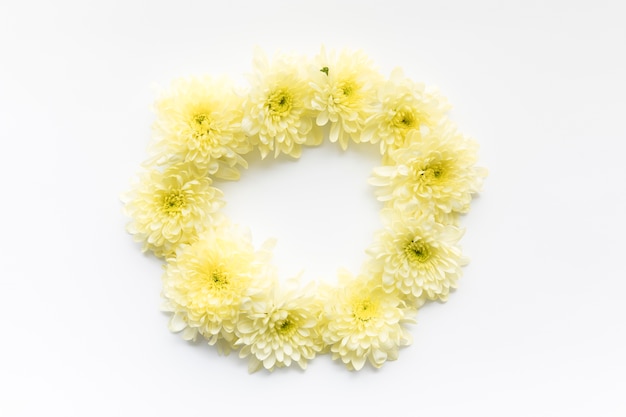 Free photo circle from yellow daisies