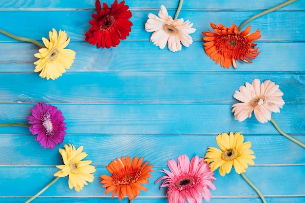 Free photo circle made of colorful flowers