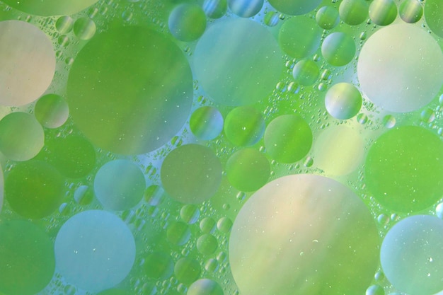 Circle shape over the green wet background