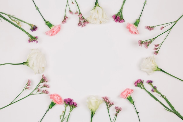 Circular carnations flower frame with space in the center for writing the text on white backdrop