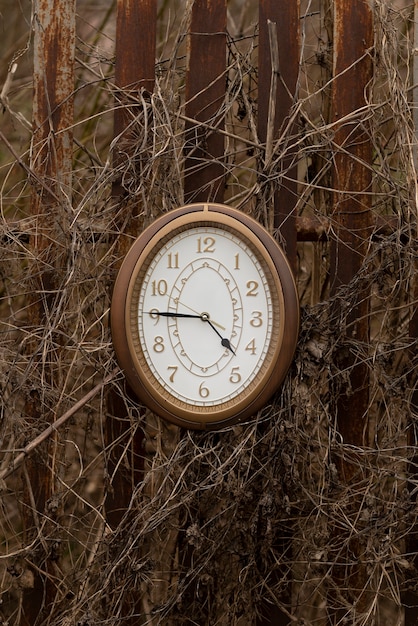 Circular clock outdoors still life