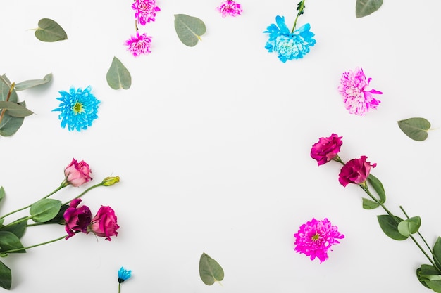 Circular frame made with flowers on white background