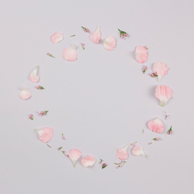 Free photo circular frame made with petals isolated on white background