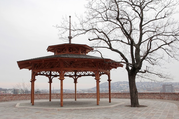 Free Photo circular metal construction next to a tree under a clouded sky