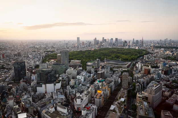 City landscape with beautiful park high angle