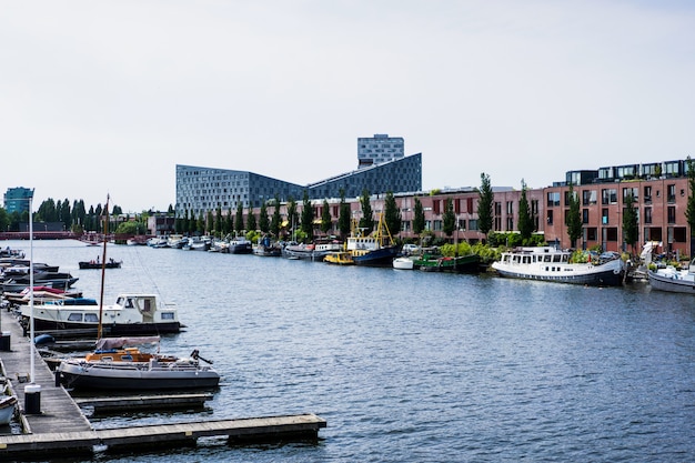 Free photo city ​​port with yachts. amsterdam