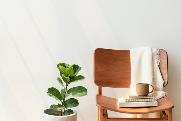 Free Photo classic wooden chair by a fiddle-leaf fig plant