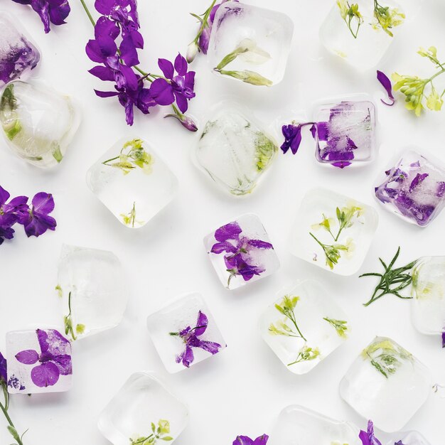 Clear ice cubes with plants and flowers