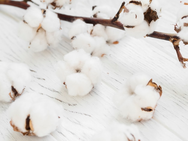 Close-up arrangement with cotton flowers