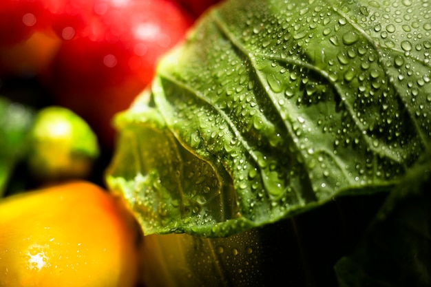 Free photo close-up assortment of fresh autumnal vegetables