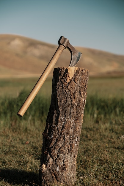 Free photo close up ax in a log on the mountain