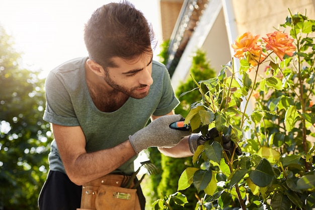 Close up of beautiful bearded florist in blue t-shirt with garden tools cutting dead flowers, spending summer morning in countryside house.