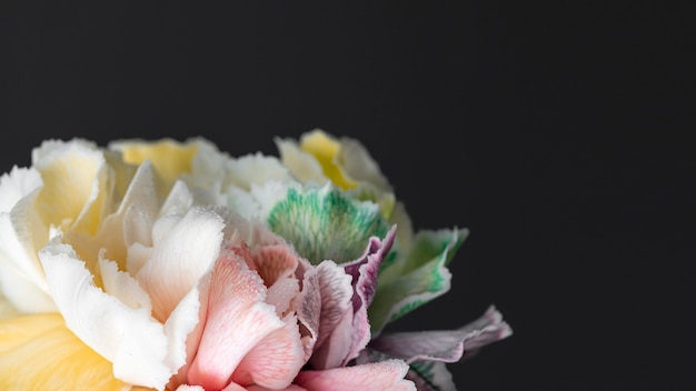 Close-up of beautiful bloomed flower