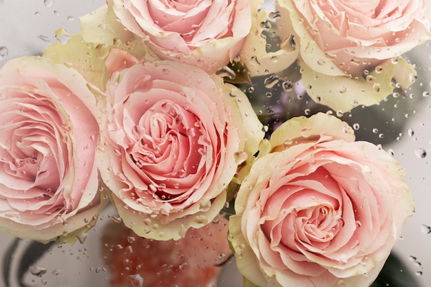 Close up on beautiful blooming flowers