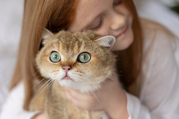 Close up on beautiful cat with little girl