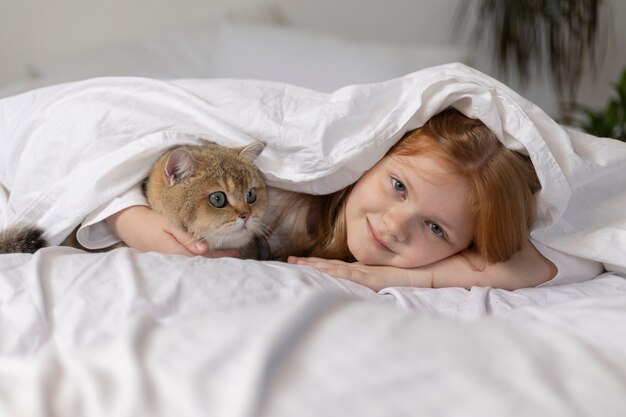 Close up on beautiful cat with little girl