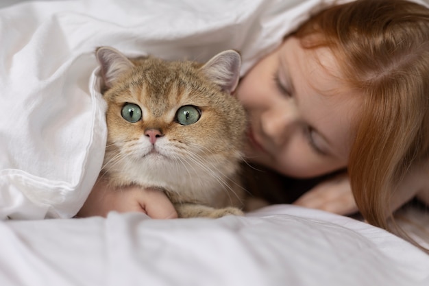 Free Photo close up on beautiful cat with little girl