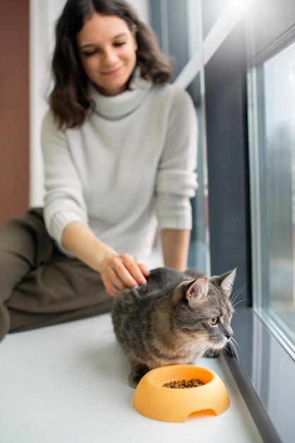 Free Photo close up on beautiful cat with the owner