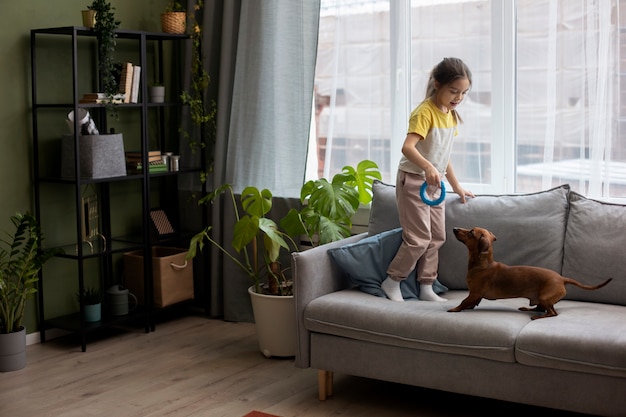 Free photo close up on beautiful dachshund playing with kid