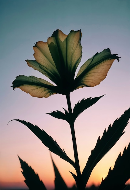 Close up on beautiful flower in nature