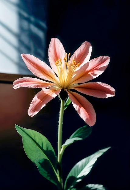 Free photo close up on beautiful flower