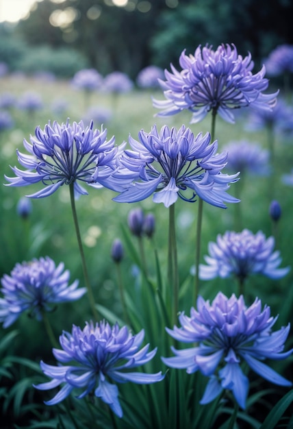 Free photo close up on beautiful flower