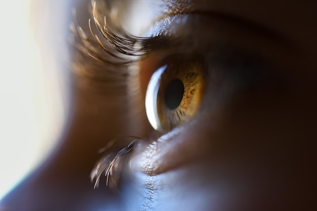 Close-up of beautiful little girl brown eye