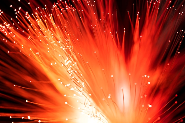 Free Photo close up on beautiful optical fiber details