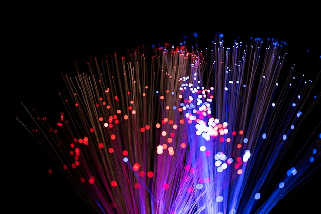 Free Photo close up on beautiful optical fiber details