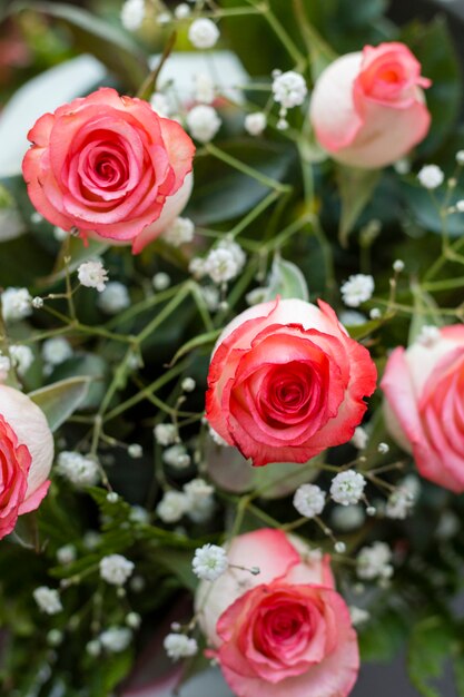 Close-up beautiful roses petals