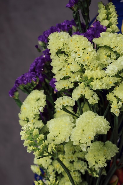 Free Photo close-up of beautiful yellow and purple limonium flowers against gray wall