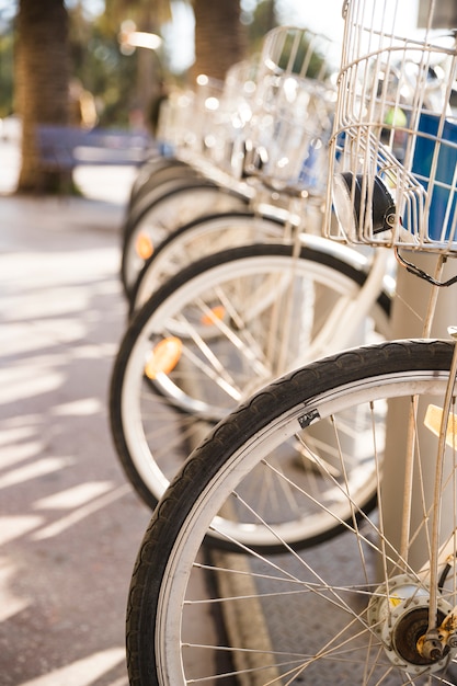 Close-up of bicycles in a row parked for rent