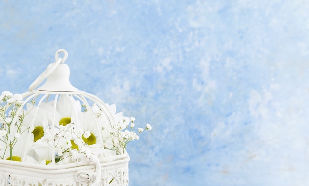 Free photo close-up bird cage with white daisies