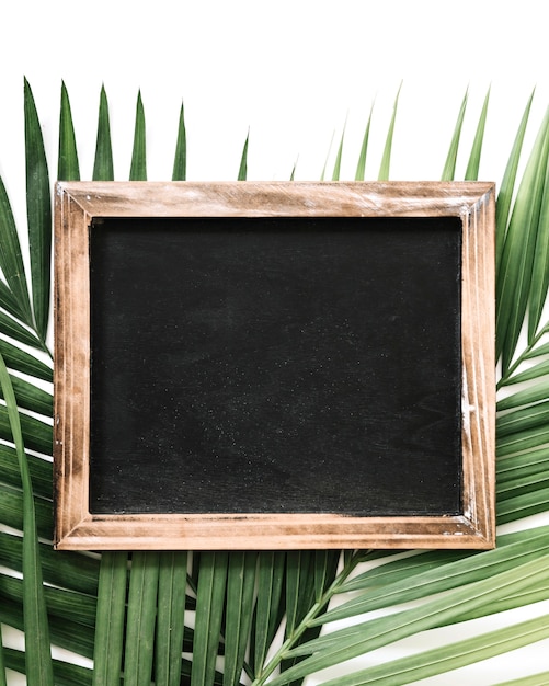 Free photo close-up of black slate over palm leaf