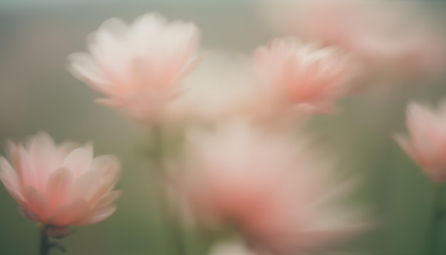 Close up on blooming flower in nature