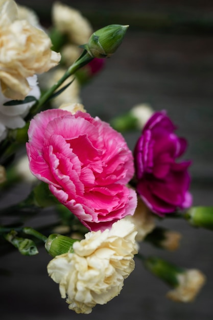 Free Photo close-up blossom flowers