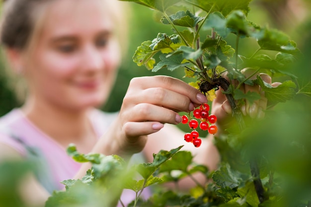 Free Photo close-up blurred girl picking fruits