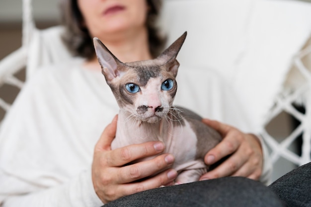 Close up blurry woman holding cat