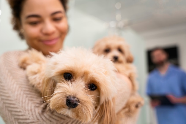 Free Photo close up blurry woman holding dog