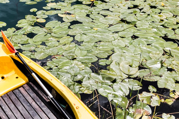 Free photo close-up of boat with green lily pads floating on pond