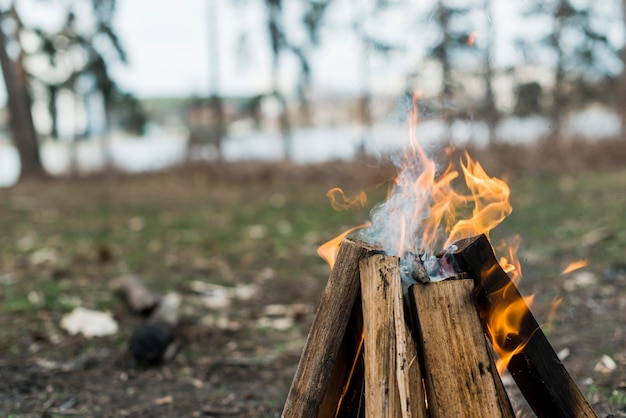 Free Photo close-up bonfire with flames