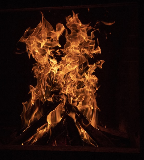 Free Photo close-up of a bonfire