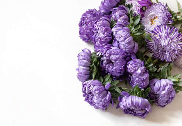 Close-up of a bouquet of fresh blue chrysanthemums on a white background, copy space.