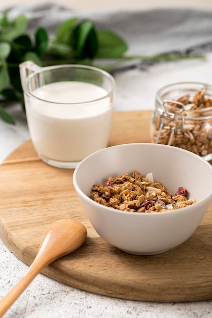 Close-up bowl with organic granola